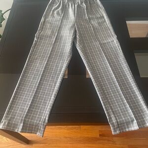 Aritzia new pants